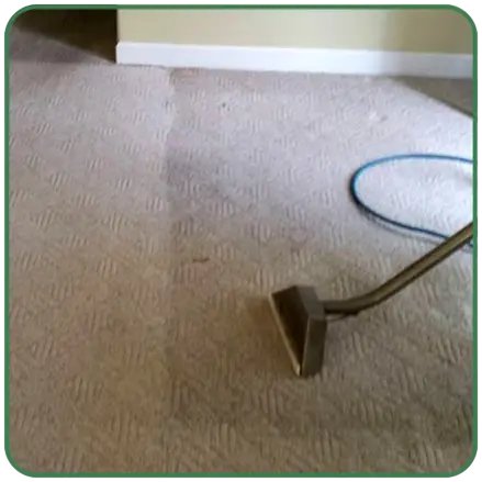 Costantino's Cleaning Services - Carpet Cleaning