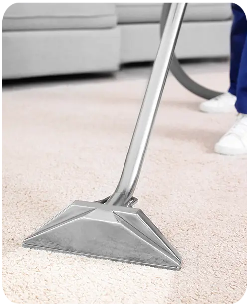 Carpet Cleaning - Costantino's Cleaning Services