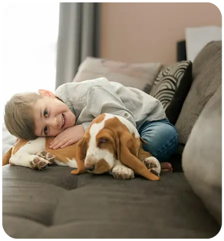 Furniture and Upholstery Cleaning - Costantino's Cleaning Services