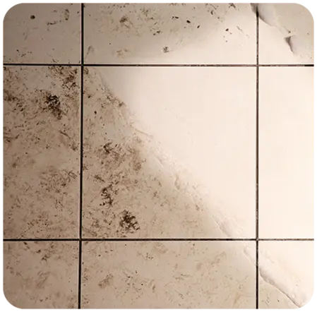 Tile and Grout Cleaning and Sealing - Costantino's CLeaning Services