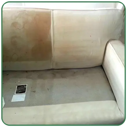Costantino's Cleaning Services - Upholstery Cleaning